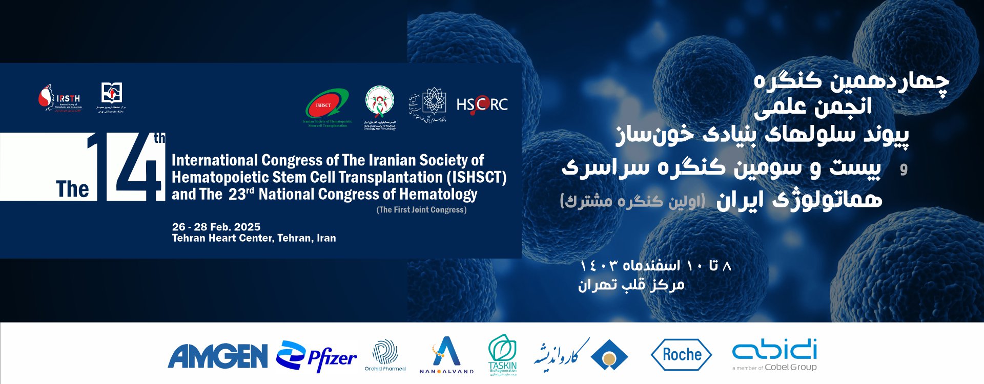 14th Congress Of Stem Cell Transplantation